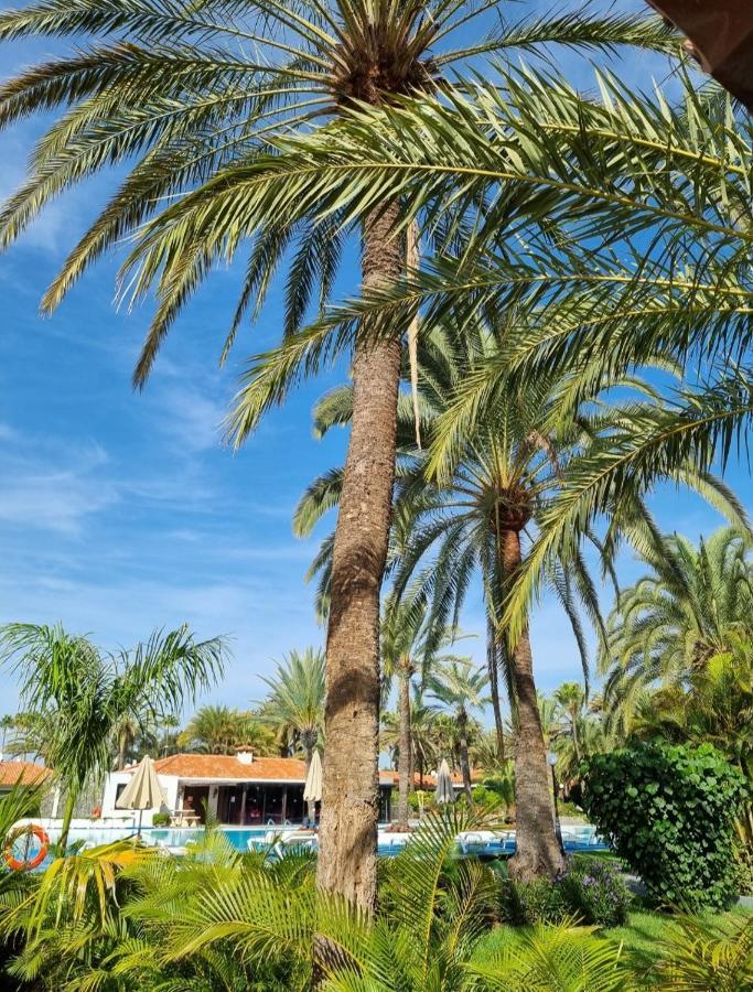 Sun Club P65 Premium Bungalow Maspalomas (Gran Canaria) Exterior foto